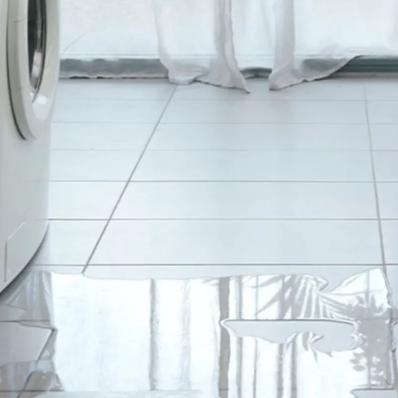 Appliance Leak Cleanup in Lakewood Shores, IL