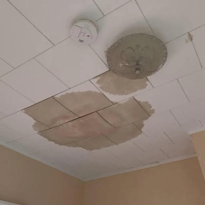 Ceiling Water Damage Repair in Lakewood Shores, IL