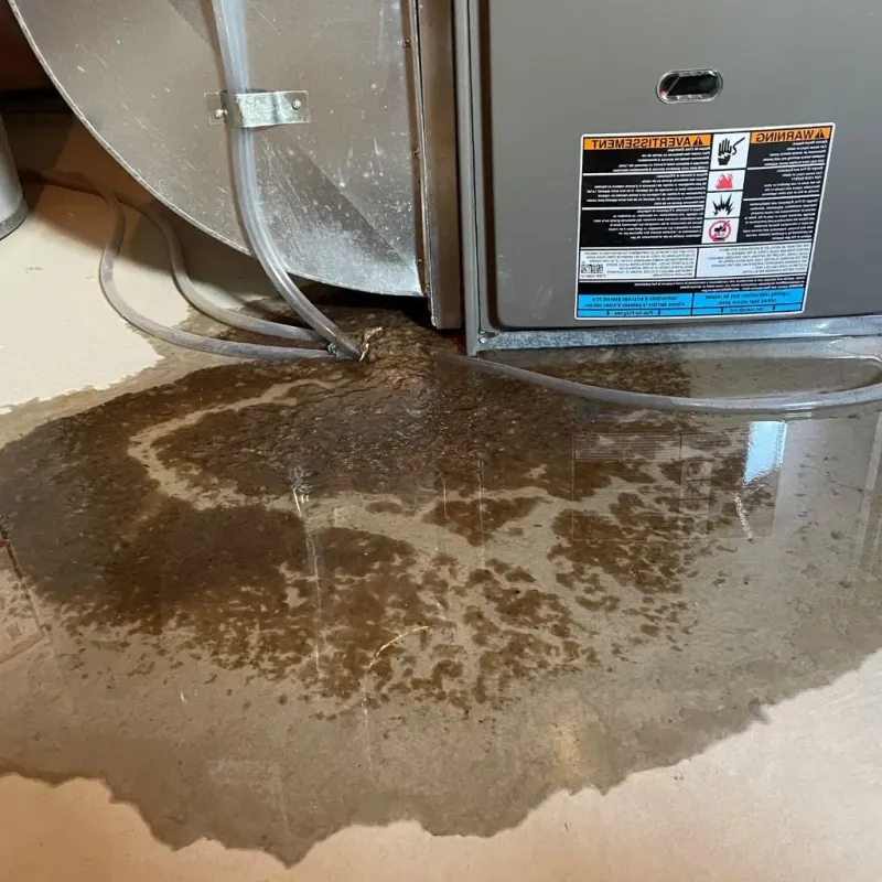 Pipe Burst and Leak Restoration in Lakewood Shores, IL